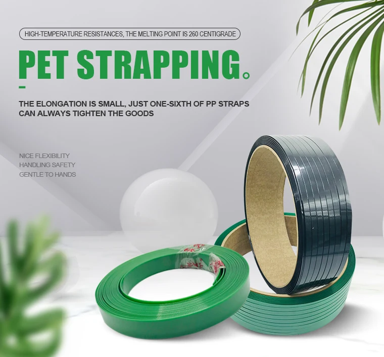 pet1.png